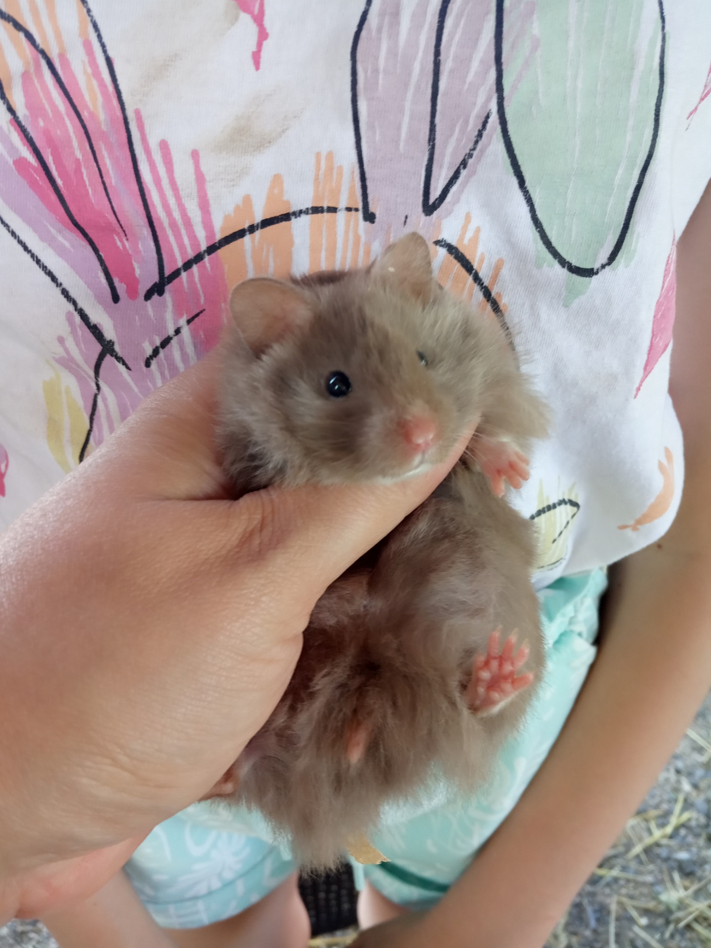 Arya - neboli Žofka 21.5.