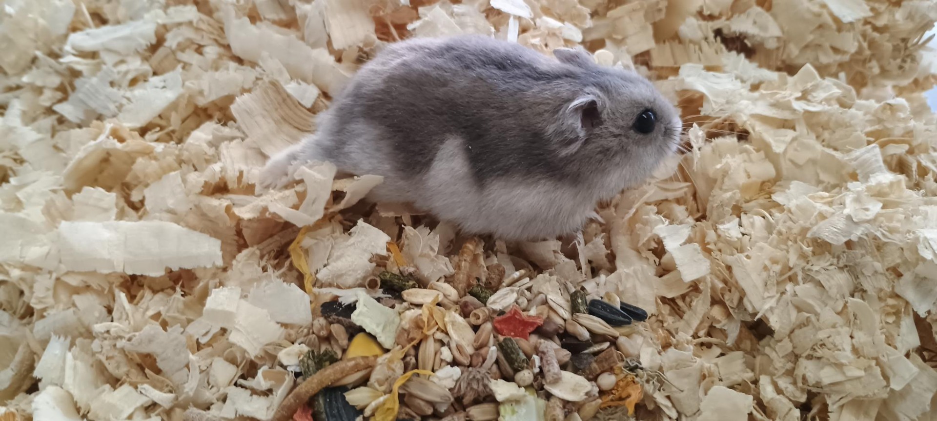 Balíček od Doubravky